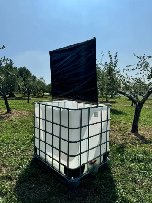 Smart,sustainable pest control certification agricultural guerreschi Organic Extra Virgin Olive Oil_valpolicella_classico_wine