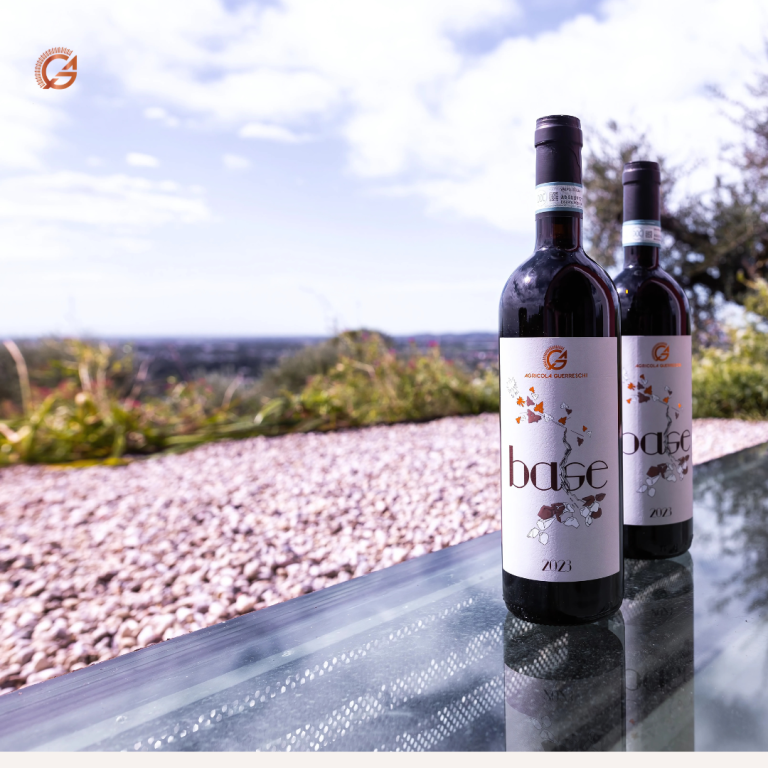 Valpolicella Red Wine – Classic Italian Elegance | Smooth & Balanced | Agricola Guerreschi