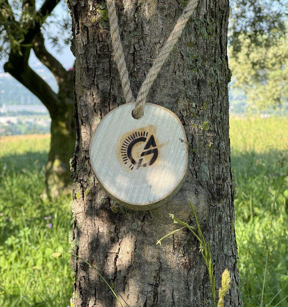 agricola_guerreschi_olive_tree_sustainable_olviculture