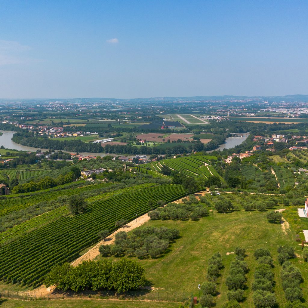 agricola_guerreschi_producer_evo_fine_wine