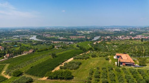 agricola_guerreschi_producer_evo_extra_virgin_olive Oil